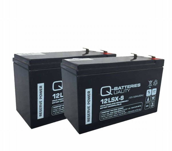 Ersatzbatterie für AEG Serie Protect A 9Ah (2 Stück)