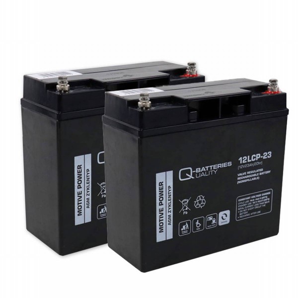 Batterie-Set für Elektromobile (2 Stk.) 12V/100Ah